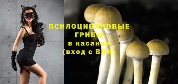 mdpv Ельня