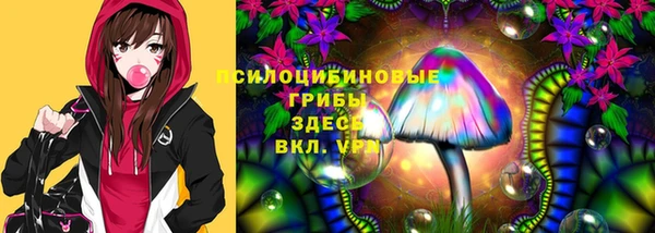 mdpv Ельня