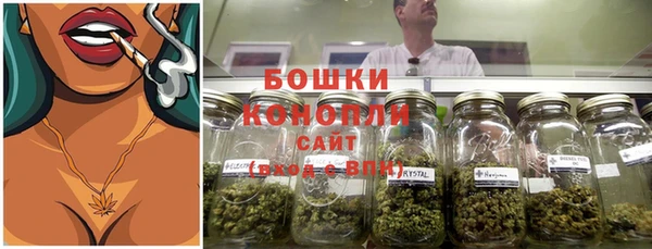 mdpv Ельня