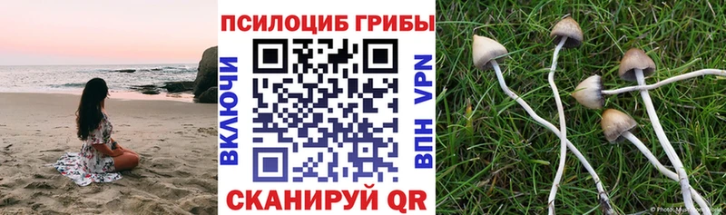 Галлюциногенные грибы мухоморы  Череповец 