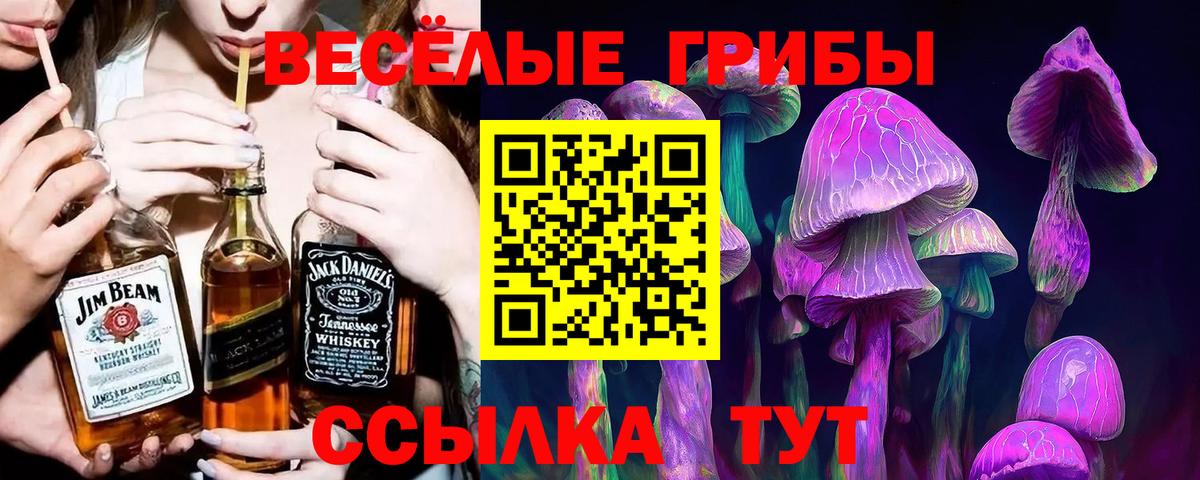 Галлюциногенные грибы мухоморы  Вход с VPN  Череповец 